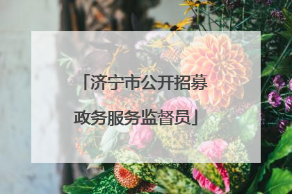 济宁市公开招募政务服务监督员