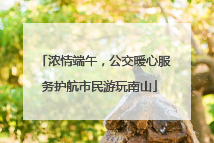 浓情端午，公交暖心服务护航市民游玩南山