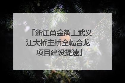 浙江甬金衢上武义江大桥主桥全幅合龙 项目建设提速