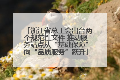 浙江省总工会出台两个规范性文件 推动服务站点从“基础保障”向“品质服务”跃升