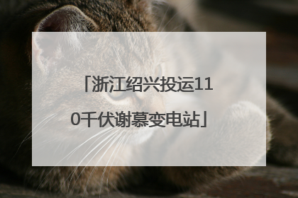 浙江绍兴投运110千伏谢慕变电站
