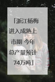 浙江杨梅进入成熟上市期 今年总产量预计74万吨