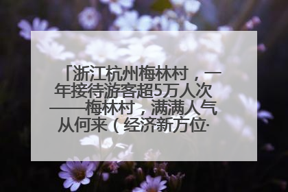 浙江杭州梅林村，一年接待游客超5万人次——梅林村，满满人气从何来（经济新方位·农村消费观察）