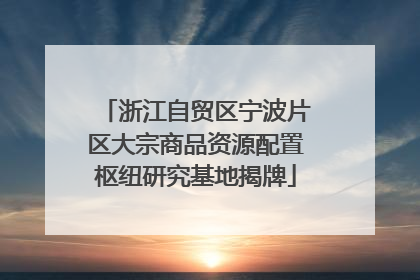 浙江自贸区宁波片区大宗商品资源配置枢纽研究基地揭牌