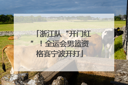 浙江队“开门红”！全运会男篮资格赛宁波开打