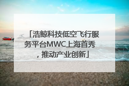浩鲸科技低空飞行服务平台MWC上海首秀，推动产业创新