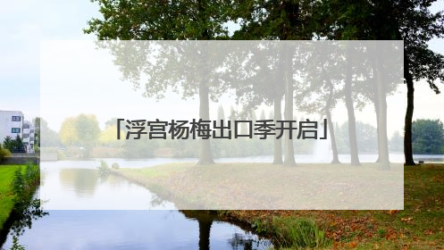 浮宫杨梅出口季开启