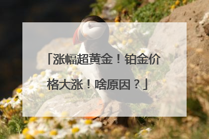 涨幅超黄金！铂金价格大涨！啥原因？