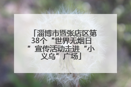 淄博市暨张店区第38个“世界无烟日”宣传活动走进“小义乌”广场