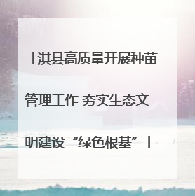 淇县高质量开展种苗管理工作 夯实生态文明建设“绿色根基”