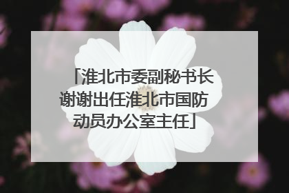 淮北市委副秘书长谢谢出任淮北市国防动员办公室主任