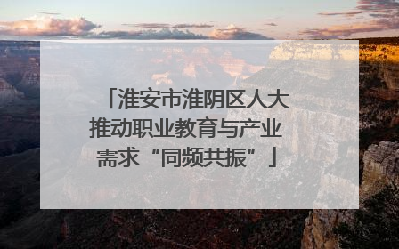 淮安市淮阴区人大推动职业教育与产业需求“同频共振”