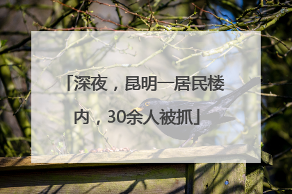 深夜，昆明一居民楼内，30余人被抓