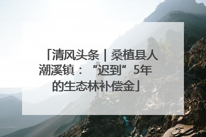 清风头条｜桑植县人潮溪镇：“迟到”5年的生态林补偿金