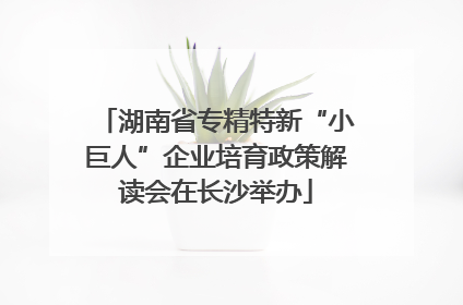 湖南省专精特新“小巨人”企业培育政策解读会在长沙举办