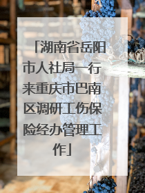 湖南省岳阳市人社局一行来重庆市巴南区调研工伤保险经办管理工作