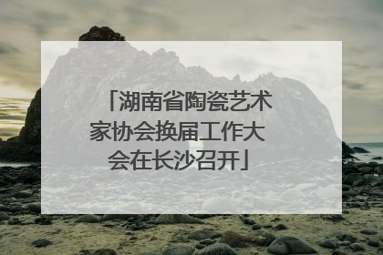 湖南省陶瓷艺术家协会换届工作大会在长沙召开