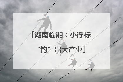 湖南临湘：小浮标“钓”出大产业