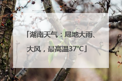 湖南天气：局地大雨、大风，最高温37℃
