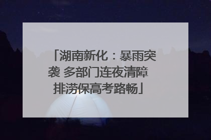 湖南新化：暴雨突袭 多部门连夜清障排涝保高考路畅
