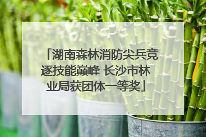 湖南森林消防尖兵竞逐技能巅峰 长沙市林业局获团体一等奖