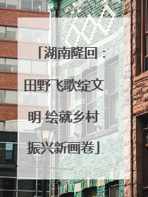 湖南隆回：田野飞歌绽文明 绘就乡村振兴新画卷