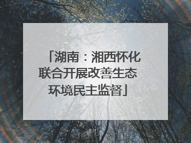 湖南：湘西怀化联合开展改善生态环境民主监督