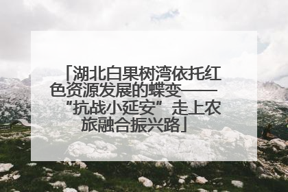 湖北白果树湾依托红色资源发展的蝶变——“抗战小延安”走上农旅融合振兴路
