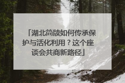 湖北简牍如何传承保护与活化利用？这个座谈会共商新路径