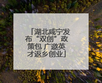 湖北咸宁发布“双创”政策包 广邀英才返乡创业