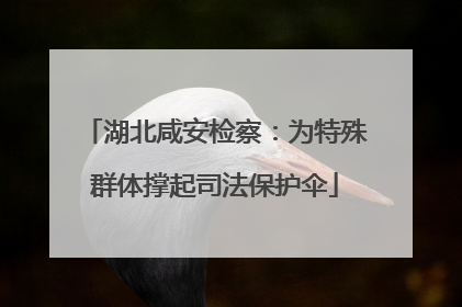 湖北咸安检察：为特殊群体撑起司法保护伞