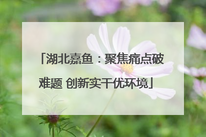 湖北嘉鱼：聚焦痛点破难题 创新实干优环境