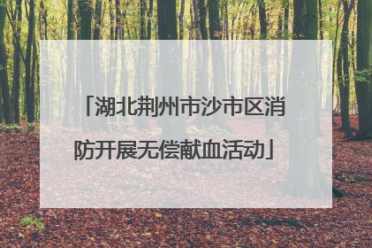湖北荆州市沙市区消防开展无偿献血活动