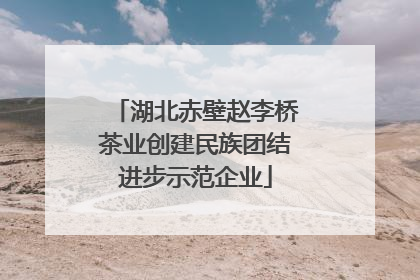 湖北赤壁赵李桥茶业创建民族团结进步示范企业
