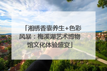 湘绣香囊养生+色彩风暴：梅溪湖艺术博物馆文化体验盛宴