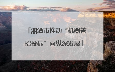 湘潭市推动“机器管招投标”向纵深发展