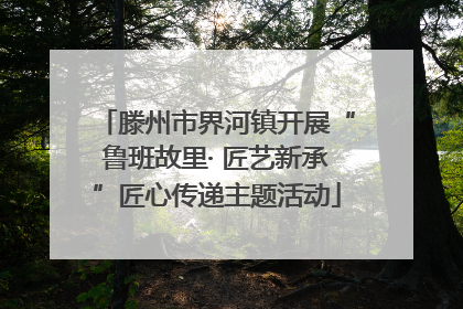 滕州市界河镇开展“鲁班故里· 匠艺新承”匠心传递主题活动