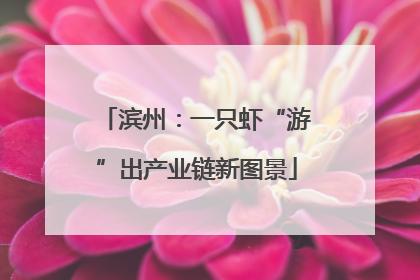 滨州：一只虾“游”出产业链新图景