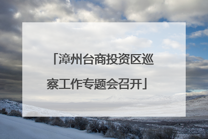 漳州台商投资区巡察工作专题会召开