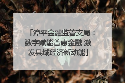 漳平金融监管支局：数字赋能普惠金融 激发县域经济新动能