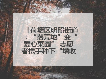 荷塘区明照街道：“撂荒地”变“爱心菜园” 志愿者携手种下“增收希望”