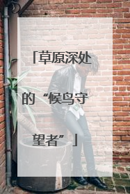 草原深处的“候鸟守望者”