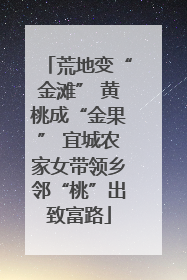 荒地变“金滩” 黄桃成“金果” 宜城农家女带领乡邻“桃”出致富路