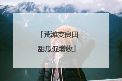荒滩变良田 甜瓜促增收