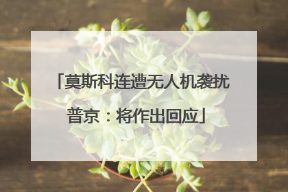 莫斯科连遭无人机袭扰 普京：将作出回应
