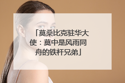 莫桑比克驻华大使：莫中是风雨同舟的铁杆兄弟