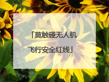 莫触碰无人机飞行安全红线