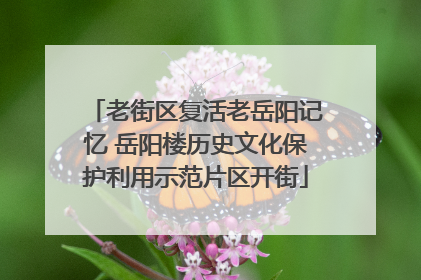 老街区复活老岳阳记忆 岳阳楼历史文化保护利用示范片区开街