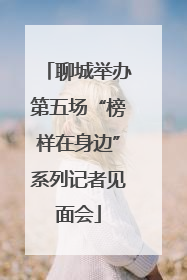 聊城举办第五场“榜样在身边”系列记者见面会