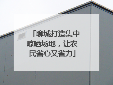 聊城打造集中晾晒场地，让农民省心又省力
